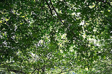 《星之卡比：重返梦幻岛》决定小说化  将于4月27日发售