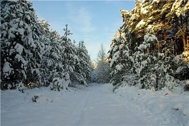 索尼PlayStation Plus亚服上线 新订阅服务阵容公布